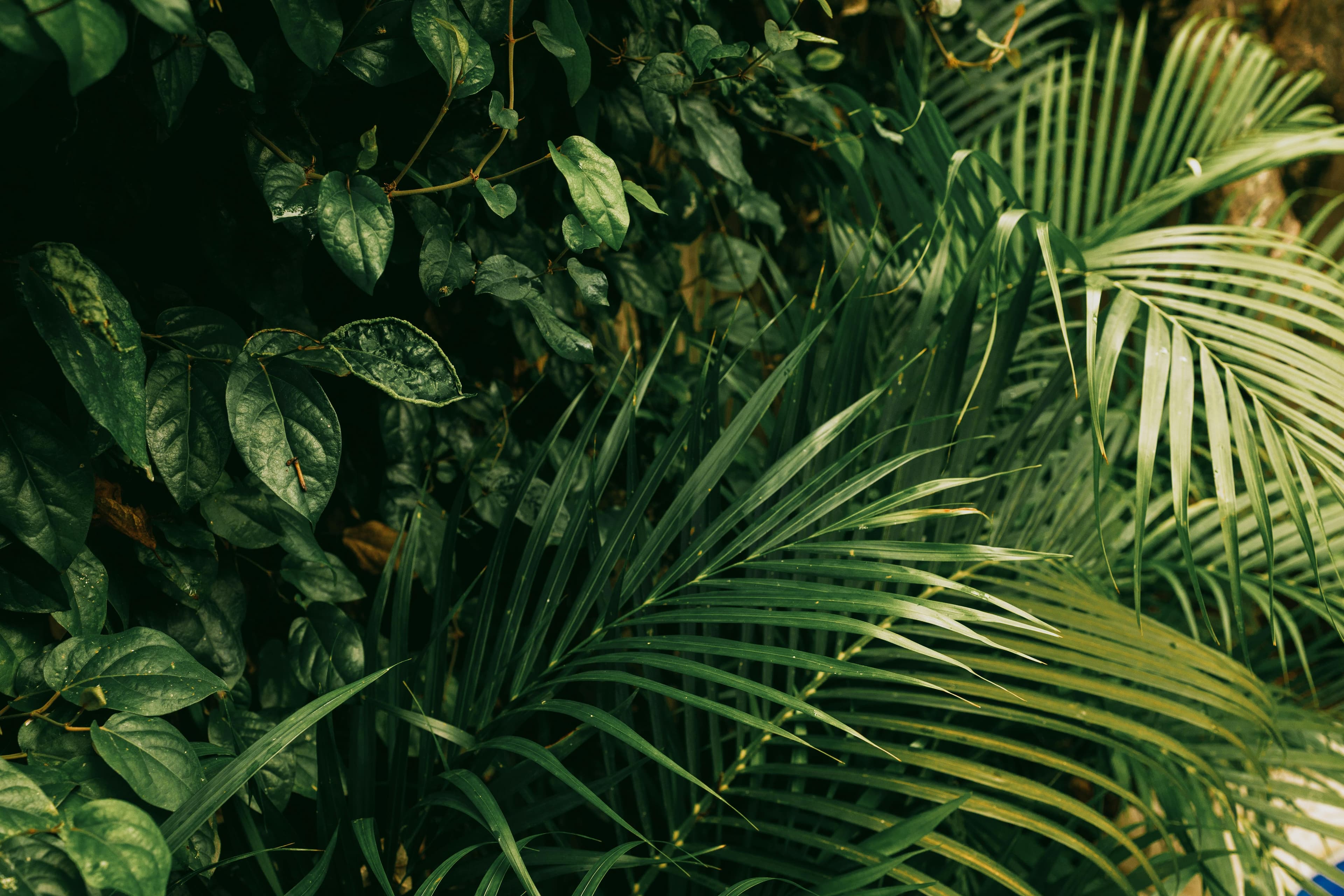 Hizmetgo mobil uygulama